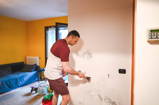 Best Office Mold Removal Services  in Mebane, NC