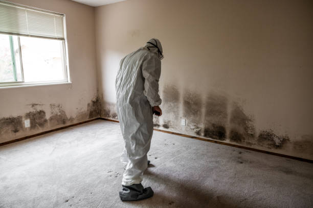 Best Mold Testing  in Mebane, NC